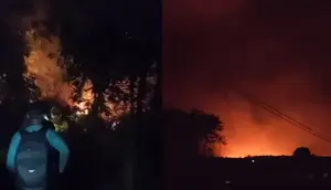 Kebakaran Melanda Taman Nasional Way Kambas, Petugas Berjibaku Padamkan Api