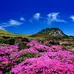 Pulau Jeju adalah sebuah pulau yang berada di provinsi Jeju, Korea Selatan.