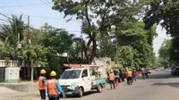 PLN Unit Induk Distribusi (UID) Jawa Timur, menggelar pasukan bebas Right of Way (ROW), yang serentak dilaksanakan di 16 Unit Pelaksana Pelayanan Pelanggan (UP3) dan 114 Unit Layanan Pelanggan (ULP). (Foto:Liputan6.com/Dian Kurniawan)