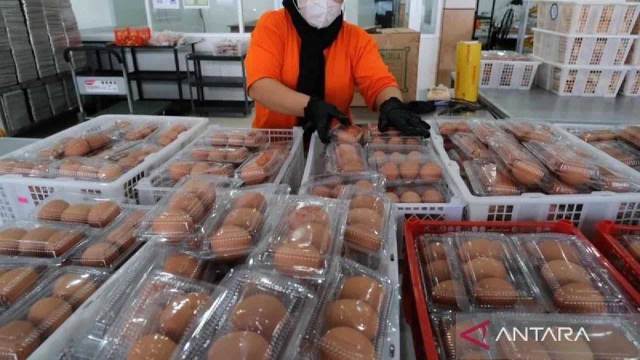 BPKN Dukung Penuh Evaluasi Program MBG Ramadhan untuk Jaminan Gizi Konsumen