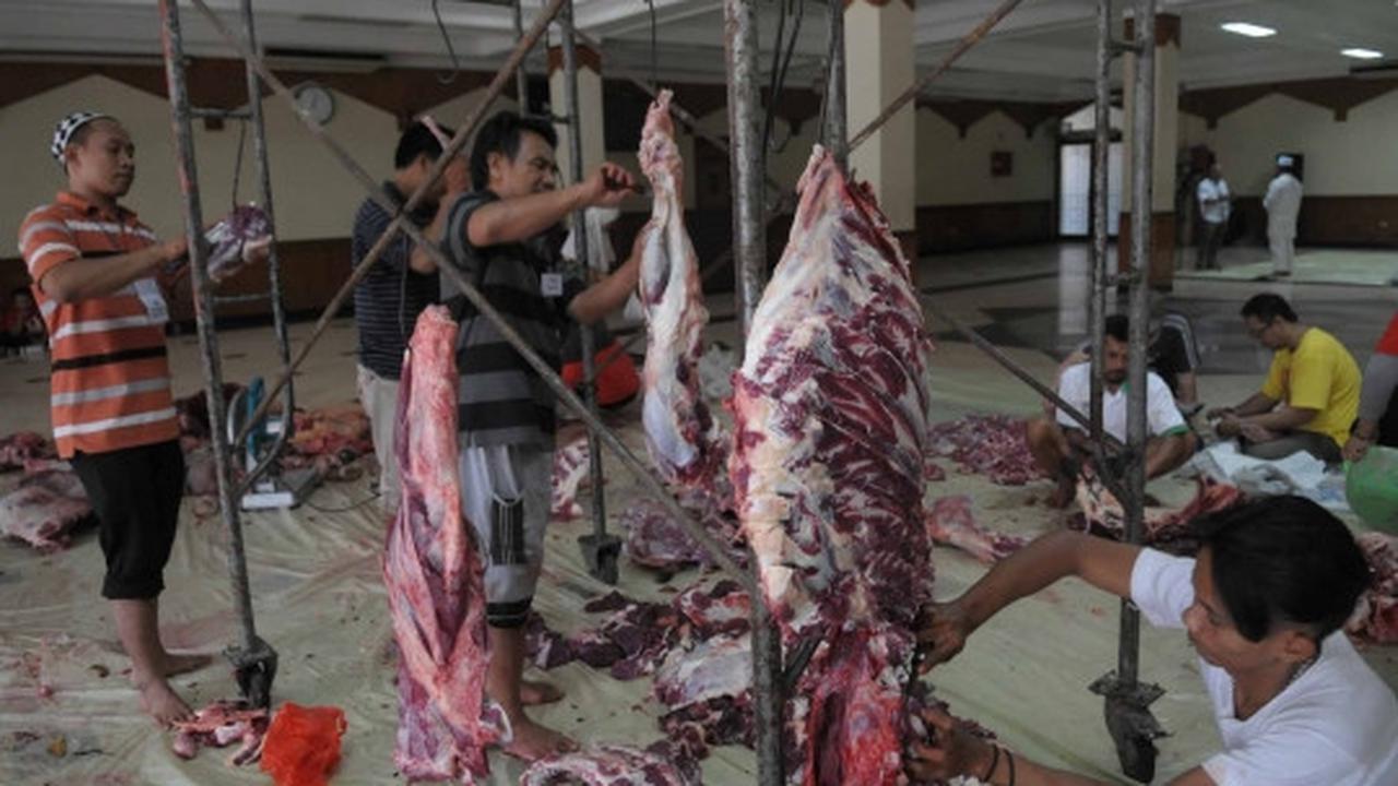 Melihat penyembelihan hewan kurban di Masjid Sunda Kelapa