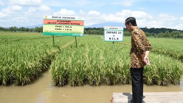 Jokowi