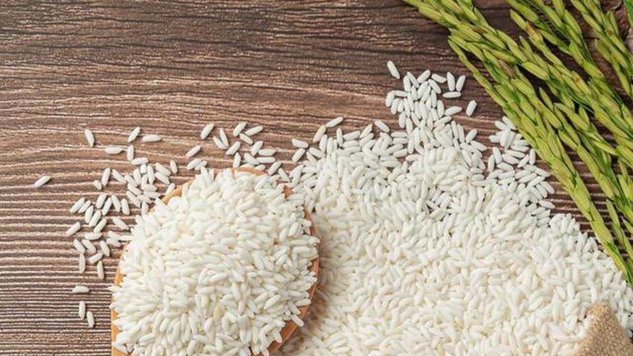 Sawah adalah Investasi Tepat untuk Pasutri Muda di Desa, Ini Sederet Keuntungannya