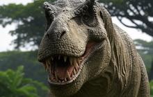 Di Negara Mana Saja Dinosaurus Dulu Pernah Hidup?