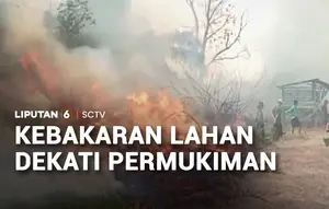 Api Dekati Permukiman, Kebakaran Lahan Gambut Bikin Warga Kalang Kabut