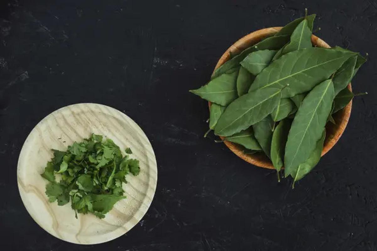 Dua Daun Herbal Ini Mampu Turunkan Kolesterol dan Gula Darah, Simak Manfaat Lengkapnya