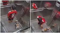 Aksi Bocah Selamatkan Anjing Peliharaan yang Terjebak di Lift Ini Banjir Apresiasi