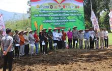 Fakta Menarik: Kolaborasi Lintas Sektor Jadi Kunci Swasembada Pangan Lampung Barat