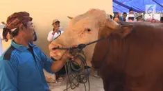 Warga bagikan daging kurban untuk korban gempa Lombok. Daging yang dibagikan salah satunya sumbangan dari Presiden Joko Widodo.