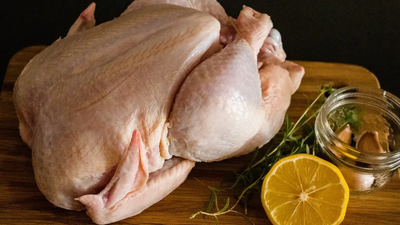 Ilustrasi daging ayam segar