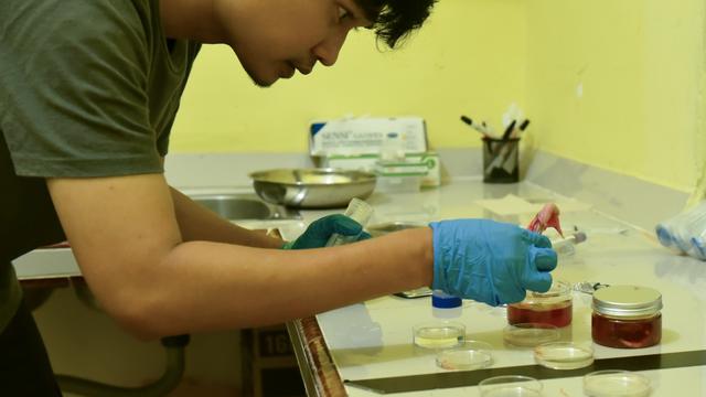 Bayi Badak Sumatera Lahir di Taman Nasional Way Kambas, Disorot Media Internasional