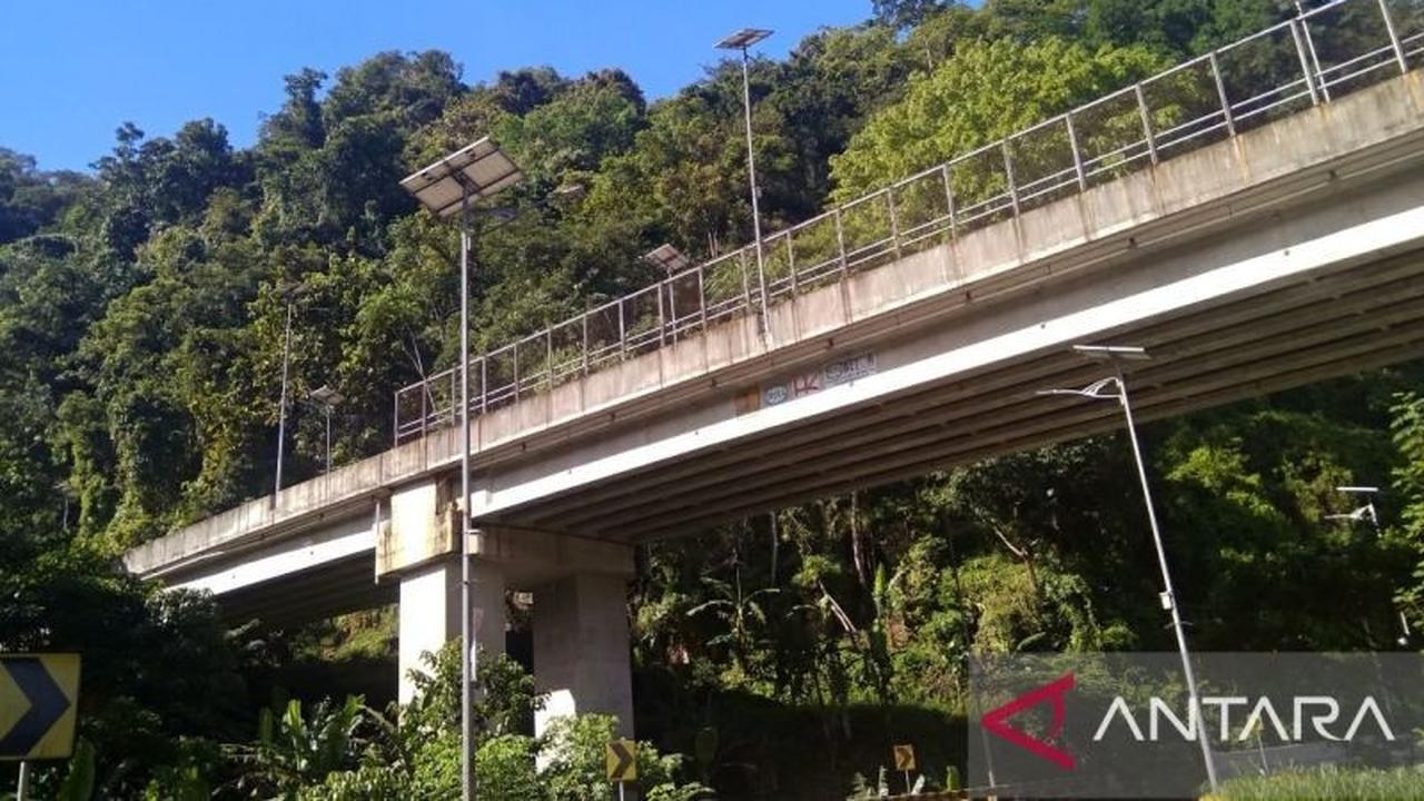Greenpeace Dorong Perdagangan Karbon sebagai Kunci Pendanaan Penyelamatan Hutan di Indonesia