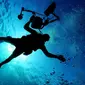 Ilustrasi diving (pixabay.com)