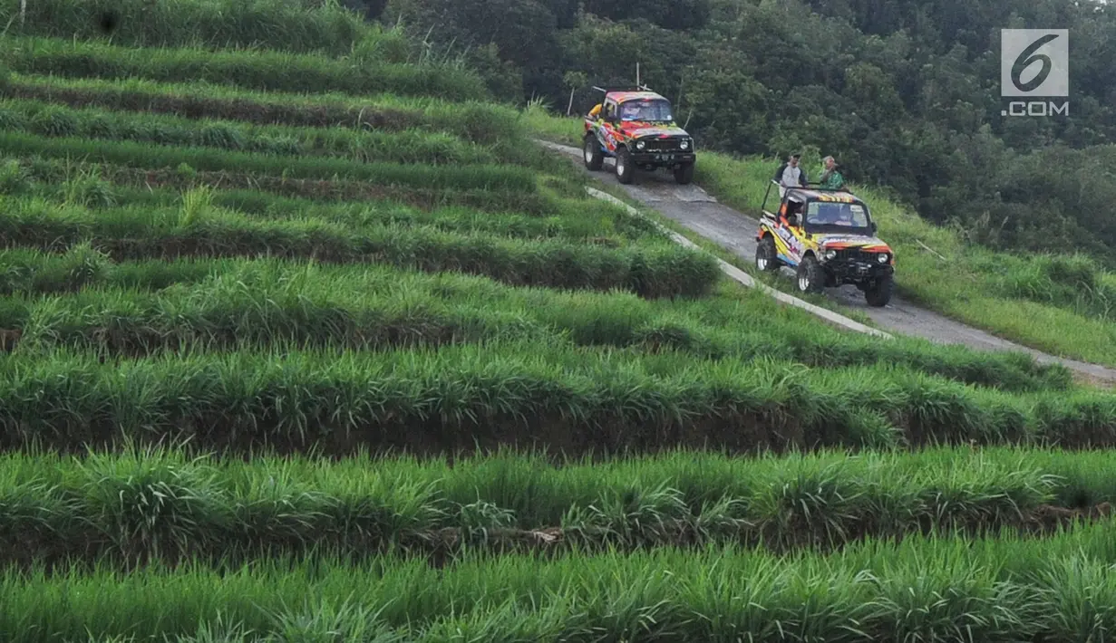 Wisatawan menaiki jip semi-terbuka saat berkeliling di Desa Wisata Kaki Langit Mangunan, Bantul, Yogyakarta (4/5). Wisatawan bisa berkeliling ke Puncak Pinus Becici hingga Hutan Pinus Pengger dengan jip berkapasitas 4 orang. (Merdeka.com/Arie Basuki)