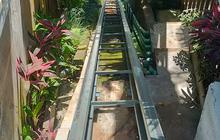 Tragedi Lift Jatuh Tewaskan 5 Pekerja: Bos Resort di Bali Tak Ditahan karena Gangguan Mental? Ini Kata Polisi