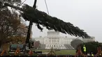 Pekerja menggunakan alat berat untuk menempatkan pohon Natal raksasa di bagian barat Gedung Capitol AS di Washington, Senin (26/11). Pohon Natal setinggi 24 meter itu diambil dari Hutan Nasional Willamette di Oregon. (Mark Wilson/Getty Images/AFP)