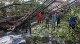 Petugas mengevakuasi pohon tumbang yang menghalangi jalan raya di pertigaan Jalan Curug Agung, Kecamatan Beji, Kota Depok, Jawa Barat pada Rabu (25/6/2025). (merdeka.com/Arie Basuki)
