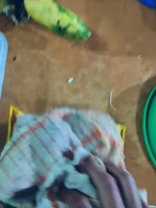 Tanpa Harus Dikukus, Ini Cara Praktis Olah Kulit Lumpia Agar Kembali Segar dan Tidak Kaku