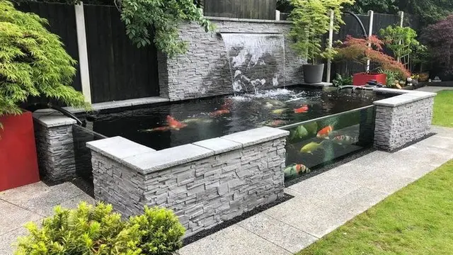 Kolam Ikan dengan Air Menempel Dinding (Foto: Joanne Young via Pinterest)