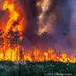Kondisi kebakaran hutan dekat Landiras, Prancis barat daya, 17 Juli 2022. Petugas pemadam kebakaran berjuang melawan kebakaran hutan yang berkobar di luar kendali di Prancis dan Spanyol ketika Eropa layu di bawah gelombang panas luar biasa ekstrem. (SDIS 33 via AP)