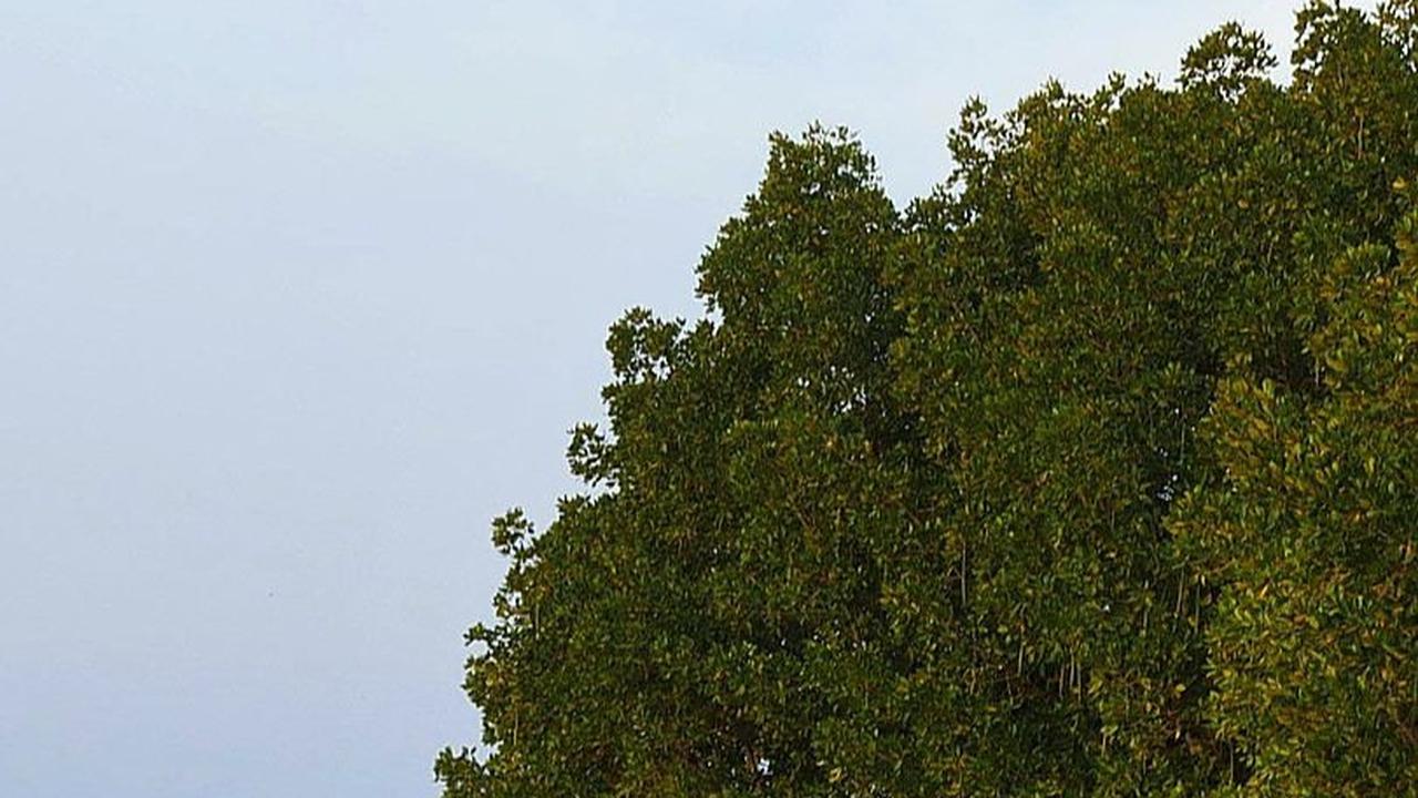 12 Wisata Bontang yang Indah dan Menakjubkan, Wajib Dikunjungi