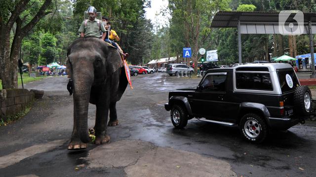 Taman Safari Indonesia Ramai Dikunjungi Wisatawan