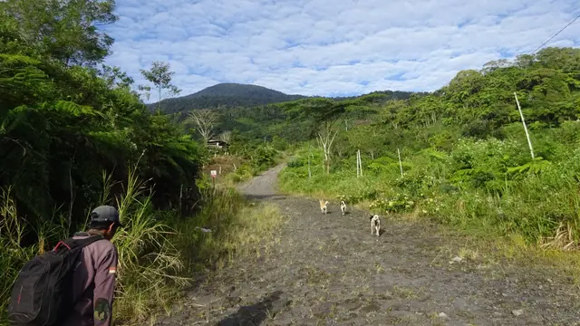 Pemandangan Gunung Daun di Bengkulu. (Dok: Gunung Bagging)