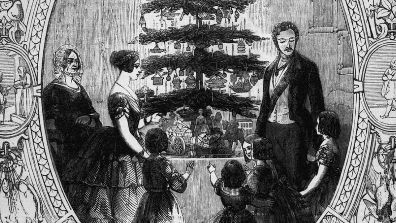 Sejarah Pohon Natal: Kenapa Pakai Cemara dan Pinus?