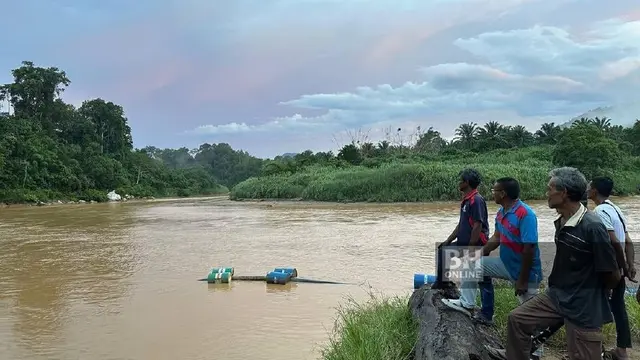 Daging Babi Dibuang ke Sungai