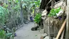 Keluarga Sutomo tinggal di kandang sapi tersebut selama 5 tahun.