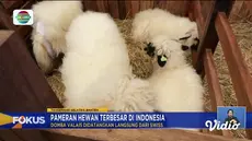 Perbarui informasi Anda bersama Fokus edisi (08/09) dengan topik-topik pilihan di antaranya, Kemarau Berkepanjangan, Air Sulit Didapat, Indonesia International Pet Expo 2024, Bermalam di Tenda Pinggir Danau, Kapal Rombongan Pernikahan Terbalik di Lau...