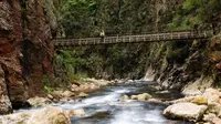 Karangahake Gorge, sebuah ngarai yang terletak di North Island, Selandia Baru kini menjadi objek sengketa (www.doc.govt.nz)