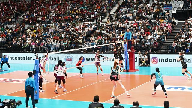 PLN Mobile Proliga 2024