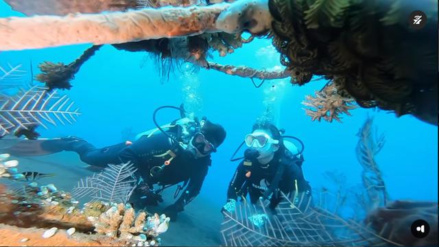 6 Potret Glenn Alinskie dan Chelsea Olivia Diving Bareng, Kenang Momen 12 Tahun Lalu