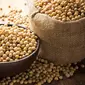 Kacang Kedelai / Sumber: iStockphoto