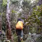 Gunung Pantai Cermin di Sumatera Barat. (Dok: Instagram @mpu_mapalapnp)