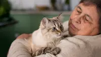 7 Common Mistakes Many Cat Owners Made