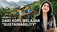 Belajar Sistem Produksi Berkelanjutan Lewat Cerita Secangkir Kopi