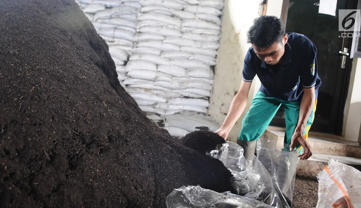 Petugas memasukan pupuk  di Unit Pengolahan Sampah (UPS) 2 Sukmajaya Depok, Jawa Barat, Selasa (5/3/2019). Sampah organik yang diolah menjadi pupuk kompos untuk tanaman itu merupakan alternatif permasalahan sampah. (Liputan6.com/Herman Zakharia)