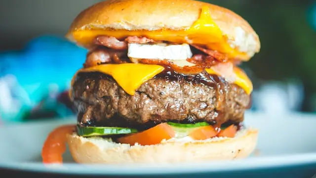 Ilustrasi cheeseburger