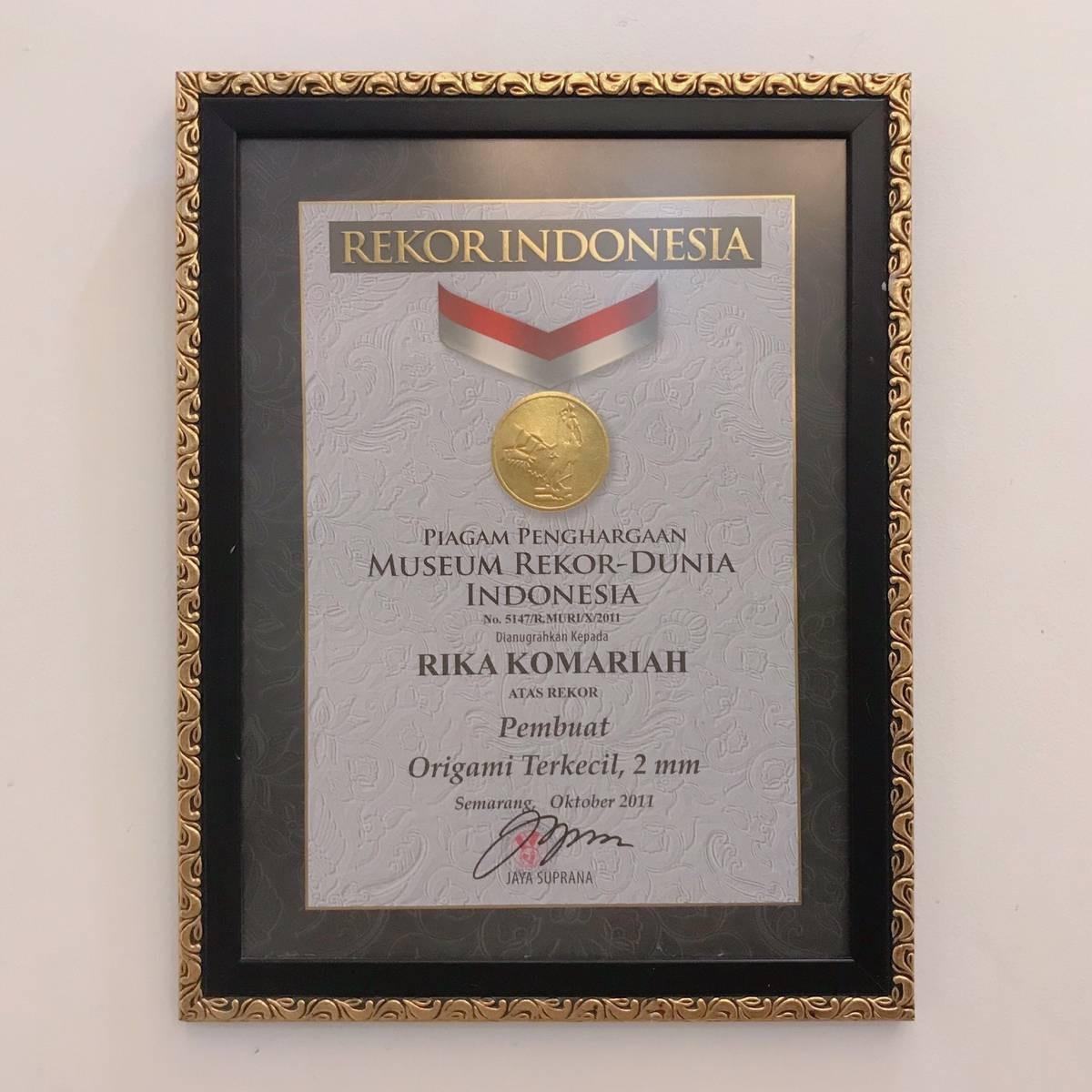 Sukses Buat Origami Ukuran Super Kecil, Momen Wanita yang Berhasil Raih Rekor Muri Ini Curi Perhatian