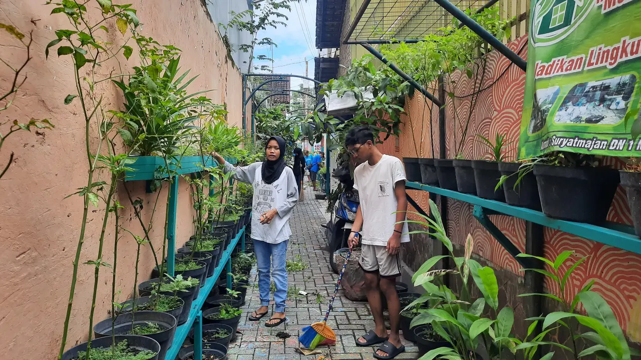 Tanaman Sayur yang Cocok untuk Lahan Kecil Perkotaan