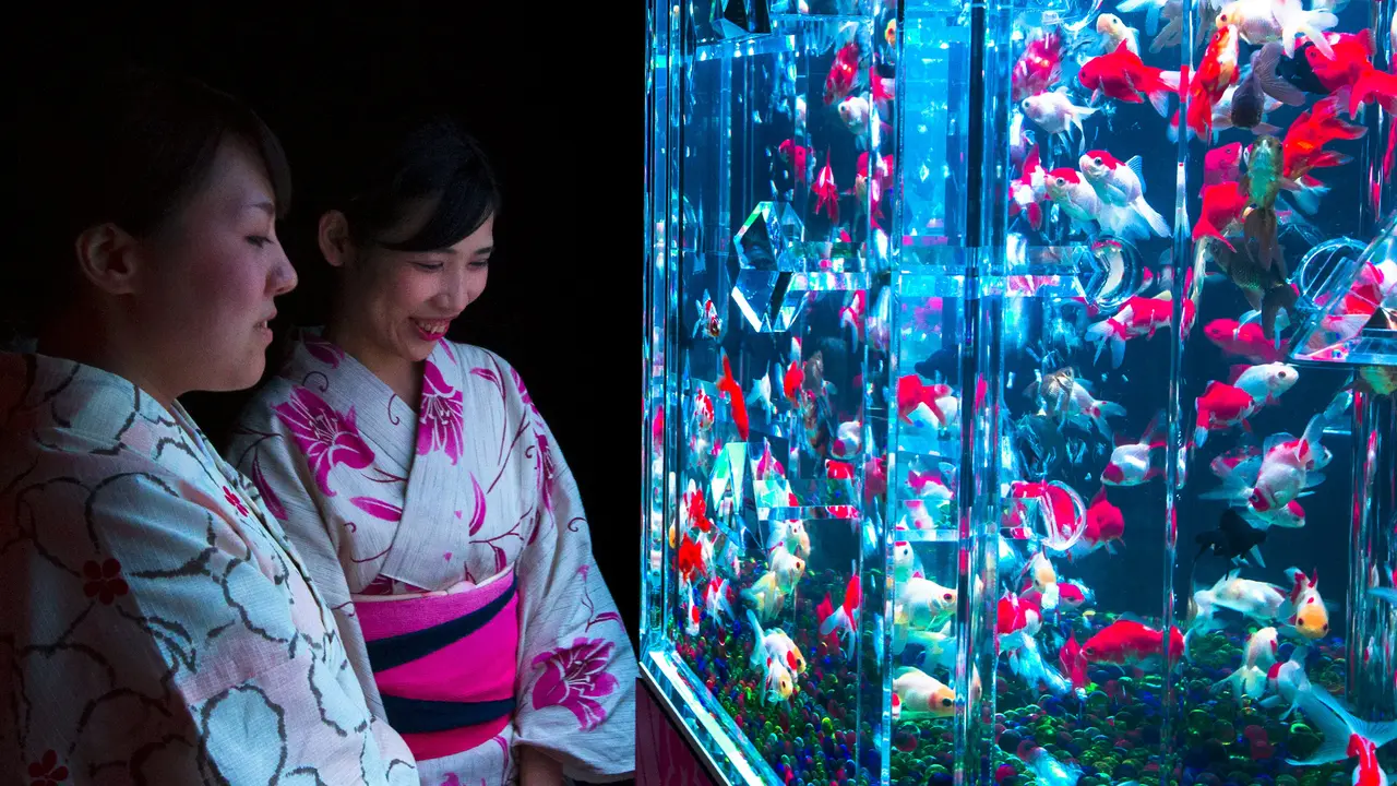 20150713-Akuarium-Jepang5