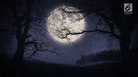 Fenomena alam langka gerhana bulan akan terjadi pada 31 Januari 2018, yaitu Super Blue Blood Moon. (iStockphoto)
