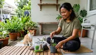 Cara Menanam Rumput Kucing di Wadah Kecil untuk Hewan Peliharaan, Ini Langkahnya