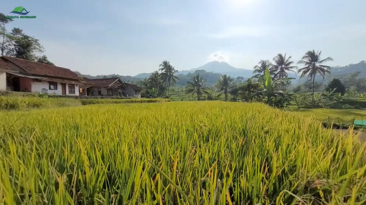 Kampung Ciereng Sumedang