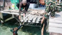 Batalyon Marinir Pertahanan Pangkalan III Jakarta tanam 5000 bibit terumbu karang di Pulau Pramuka, Jakarta. (Yonmarhanlan III) 