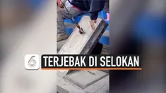 vertical pesta miras