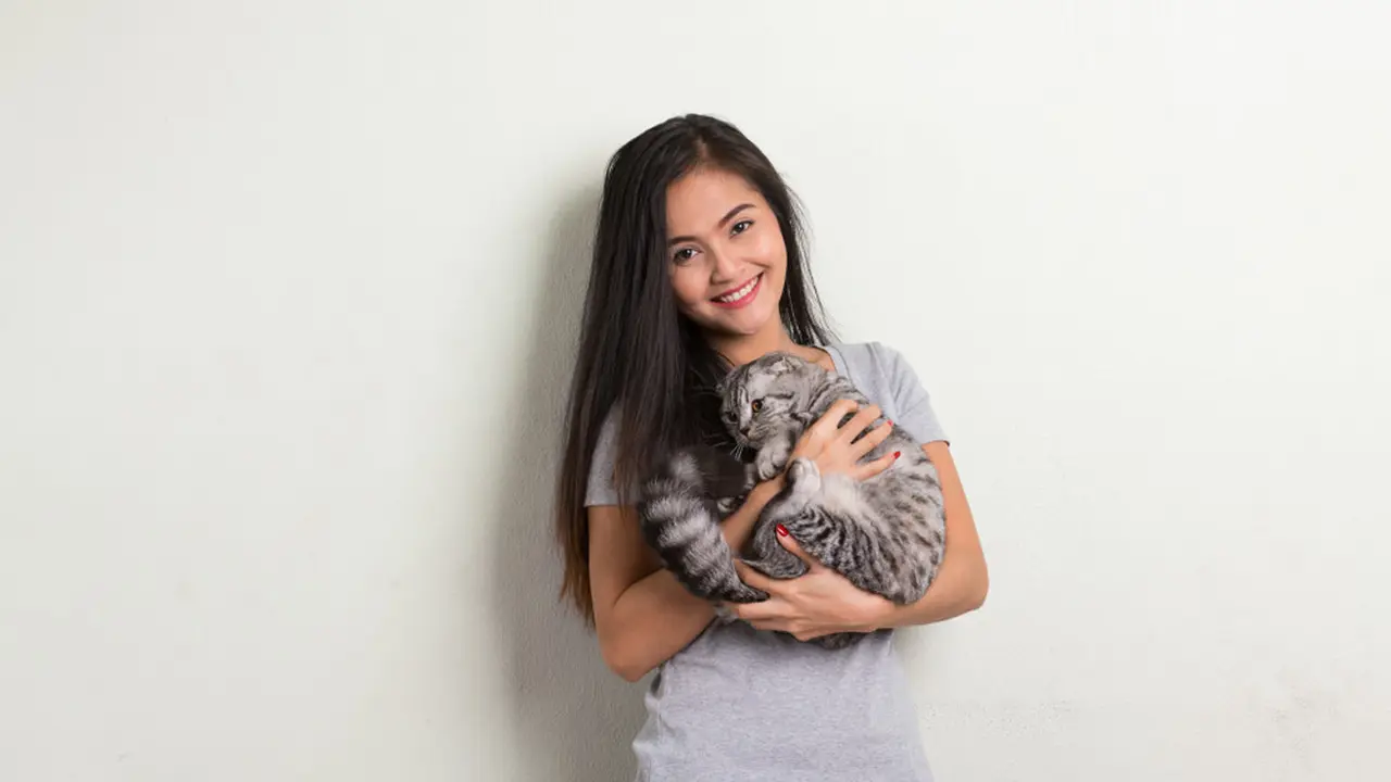 5 Checklist Penting Sebelum Bawa Kucing Baru Pulang ke Rumah