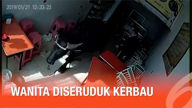 Seorang wanita secara tragis diserang oleh seekor kerbau di China. Dua orang terluka dalam insiden ini.